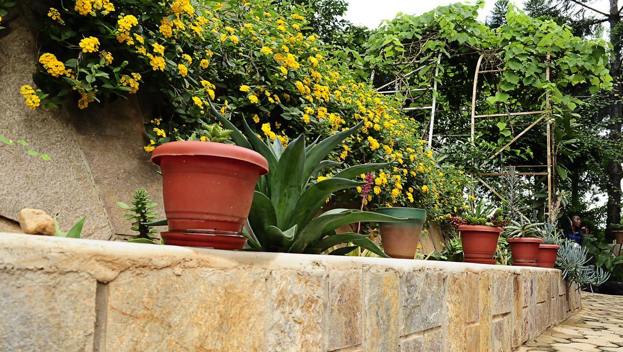 The Shoebill Nest Bed and Breakfast Kampala Buitenkant foto